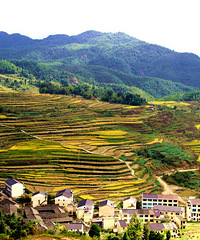 仙居杨峰山  景色依旧美丽