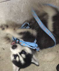 �����Ѿ�1���¶�������ĸ��ͬ������