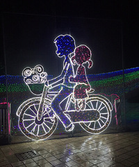 �ƹ��㷴����