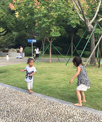 ��Ҫ�μ����������ɣ�3�꣨2��4��