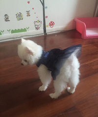 �����Ҽ�babyСʱ����Ƭ