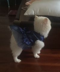 �����Ҽ�babyСʱ����Ƭ