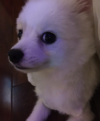 һ�Բ��ϡ����������Լ����