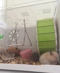 ���ܱ�����