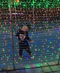 лл̨��19¥����Ʊ��������ȥ����һ�ص�