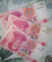 �Ϲ���������������