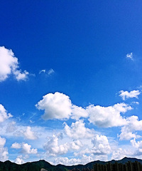 94��·��MM ��ҵ���� 168cm ��������