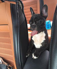 �ҵ�СCiki��8���¸ճ���