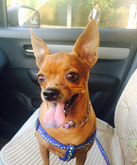 С�һ��ֵú�