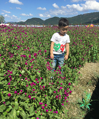 ��Ҫ�μ�����������+4����