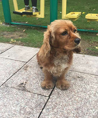 ��������ɿ�