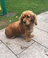 ��������ɿ�