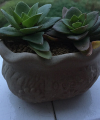 ������¼�