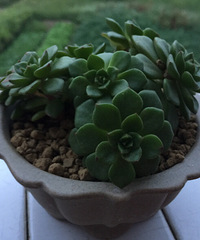 ������¼�