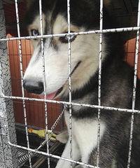 ��ë���������󷽷�