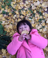 ������������������ʮ