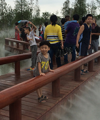 ��Ҫ�μ�����������