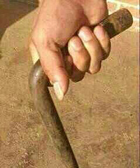 �ж����˻��ǵ�������