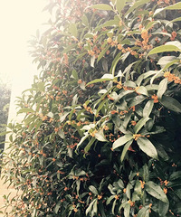 Ϊʲô������������ʳ���ǣ�������ȴΪ�±����