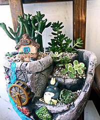 ���Ͳ�����