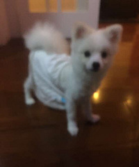 С����������ҧ������ش�С��