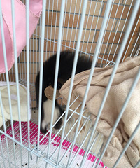 ��������5���ˣ��е�С������