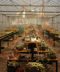 ��Һ�������è