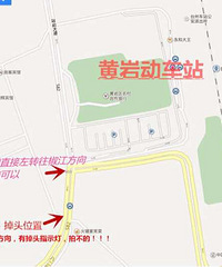 ���Ҷ���վ��ͷ����������ĺ��̵�����ͷ������