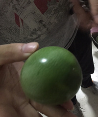 ��֪�������ʲô����