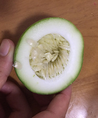 ��֪�����ɶ����  ��˵�������Ե�