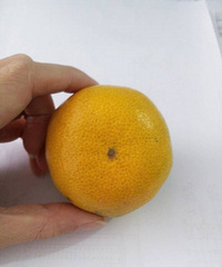 [��Ů����]Ů�ı���׬�Ķ಻���