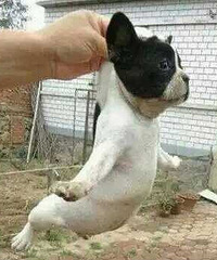 88�걾���� 176cm ������ �����ɿ�