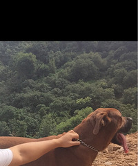 �Ҽ�����