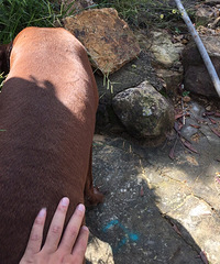 �Ҽ�����