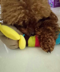 ��λ���ѣ�����ı������Ե�ɶ���������Ƽ���������ģ�