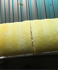 һ��決���ƺ�  �����ҵ���ʿ����Ů��