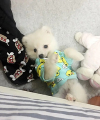 �����½�����û������С����ѽ