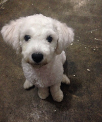 ���ܱ���