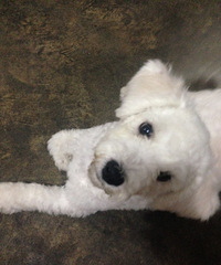 ���ܱ���