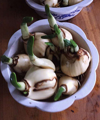 ˮ�ɣ�˭ϲ��