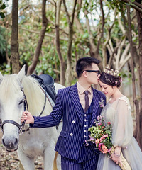 ���ſ����� ����6500