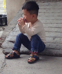 ��Ҫ�μ�����������+2��6