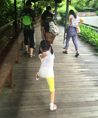 ��Ҫ�μ�����������+5��