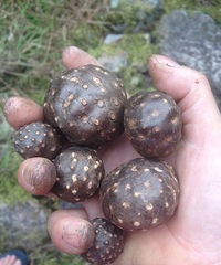 ���������ʶ��