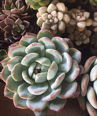 ���⣬��ϲ����û