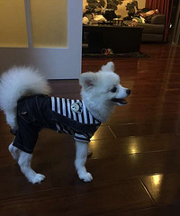 ���ǿ��ҿɰ���