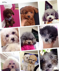 ����̩�ϳ������¼�