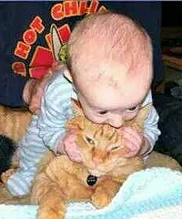 �������н�������Զ��֪����һ����ʲô����1��1С��Ӿȯ