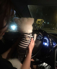 ��������ѧ����