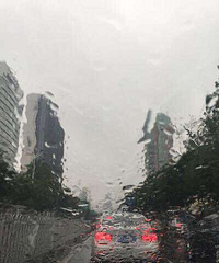 �����쵽��Ҫ��Ҫ��˫����